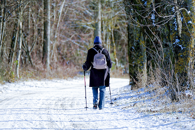 Diagram illustrating the hallmarks of ageing